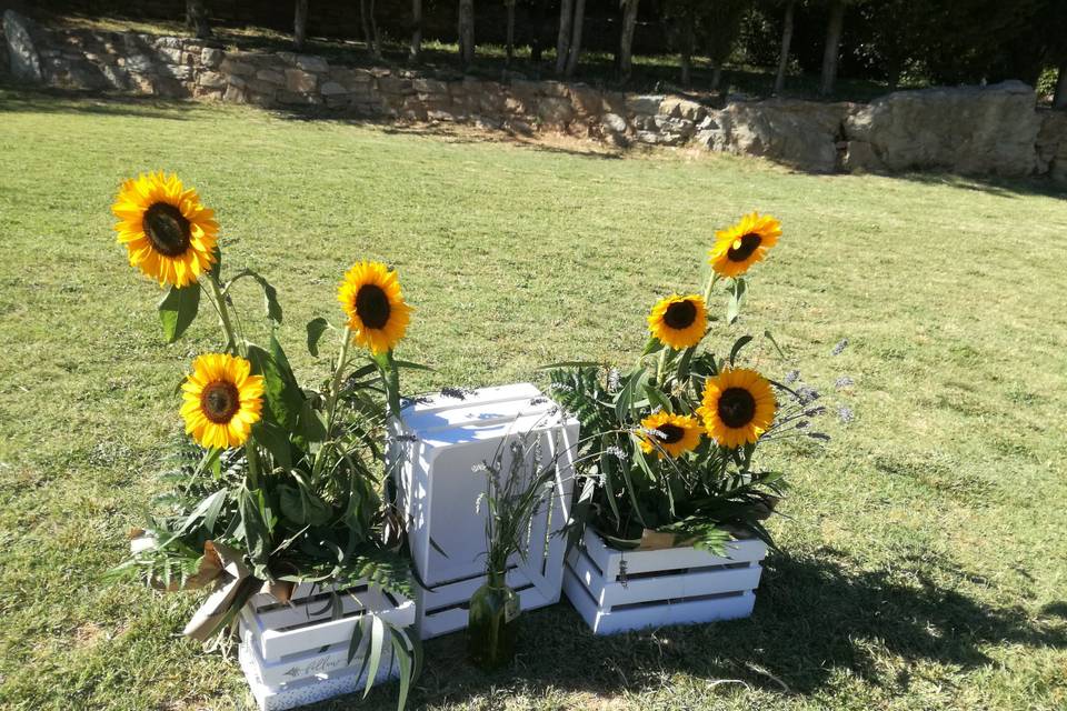 Cajas madera girasoles