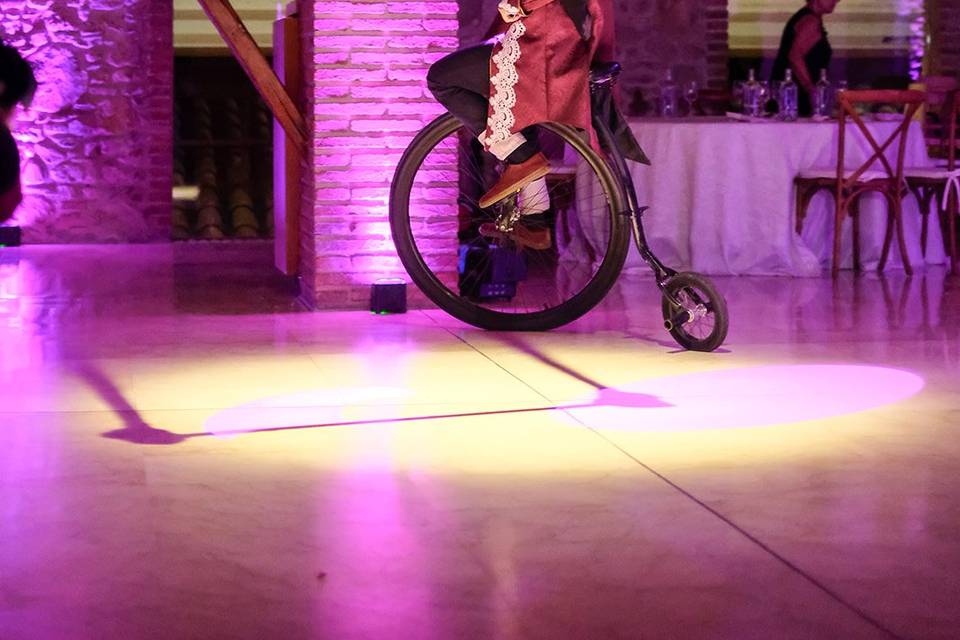 Shows