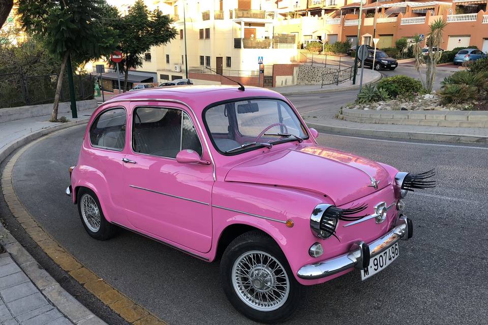 Seat 600 e amayita