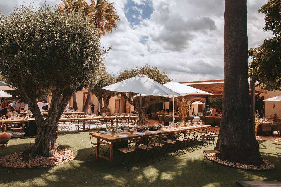 Banquete al aire libre