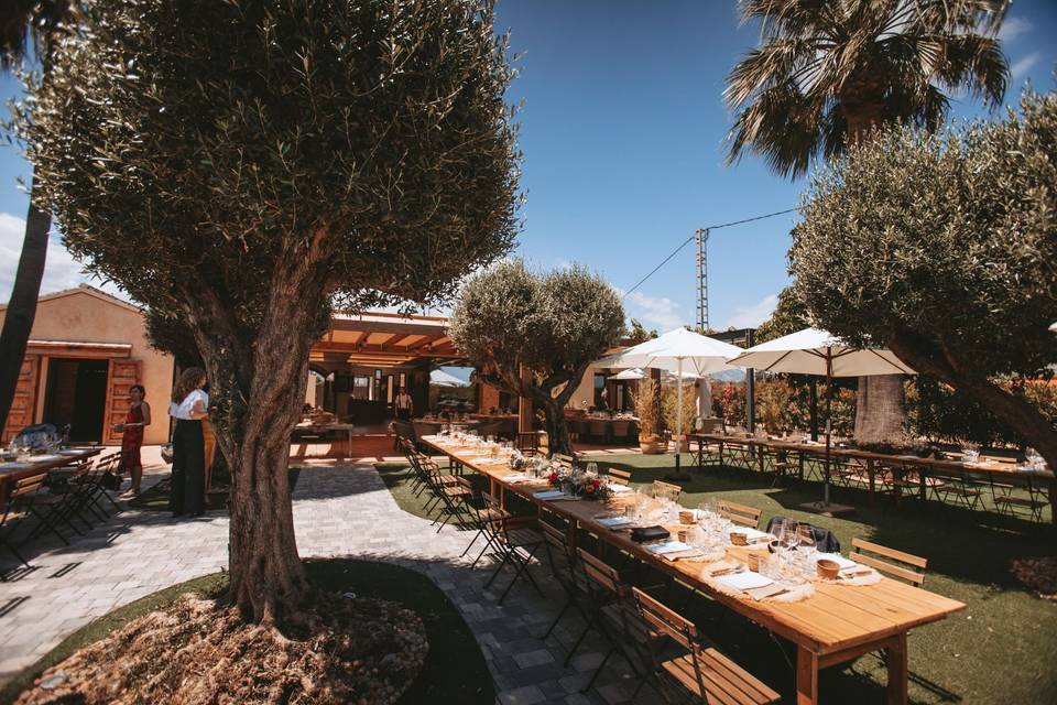 Banquete al aire libre
