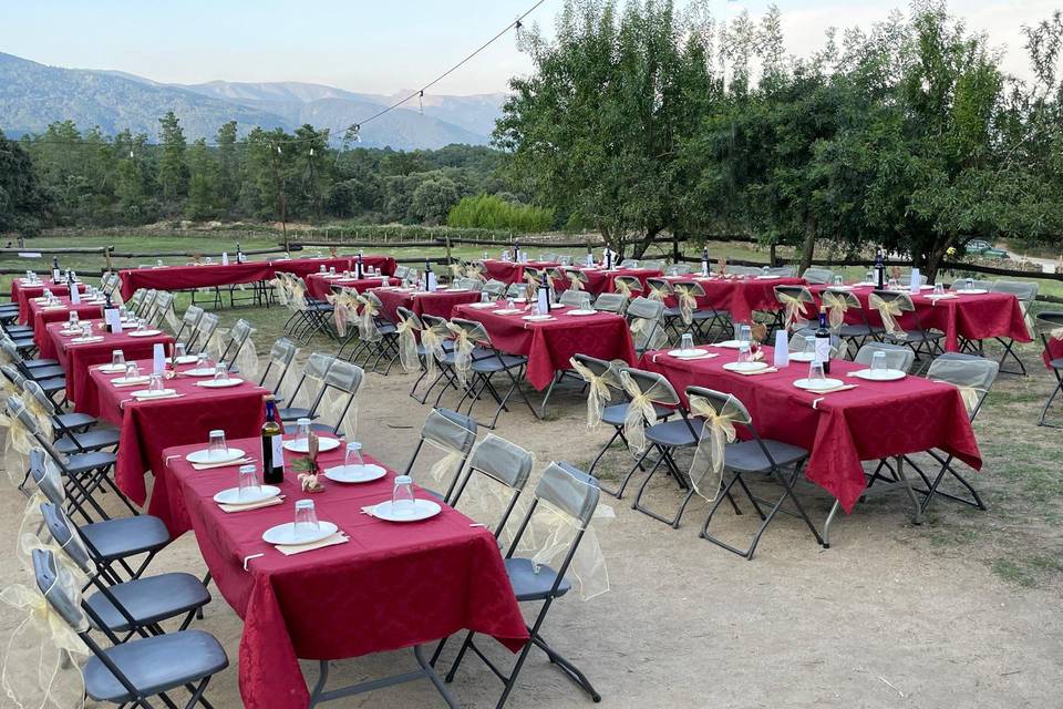 Cena al aire libre