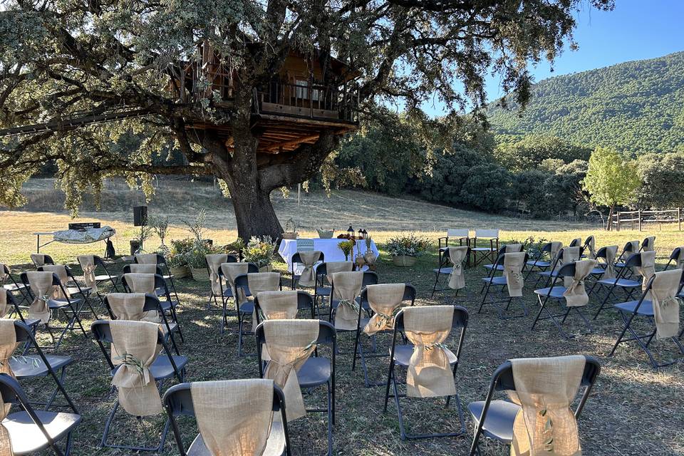 Ceremonia debajo de la encina