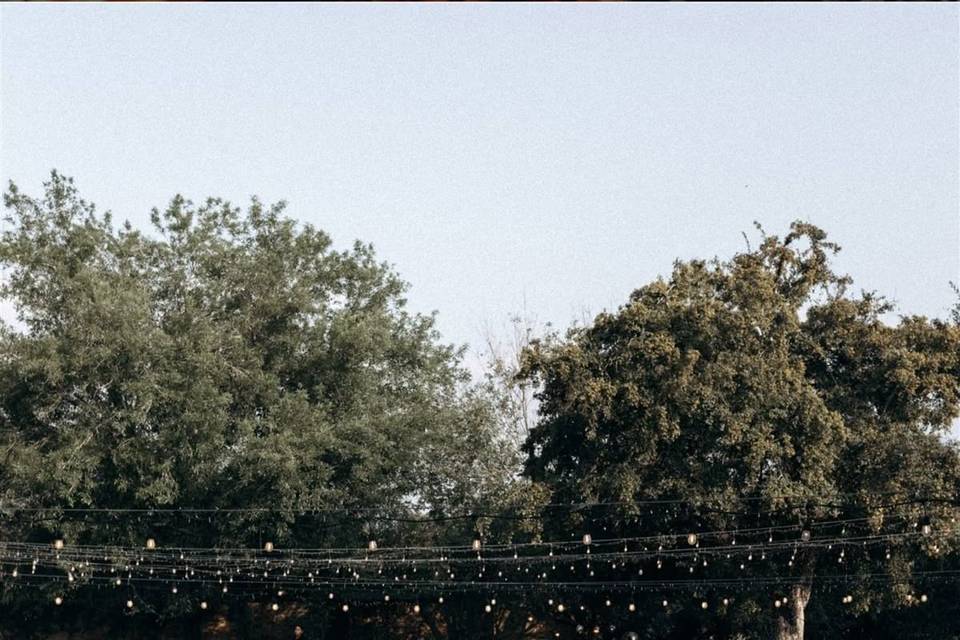 Tarico Events