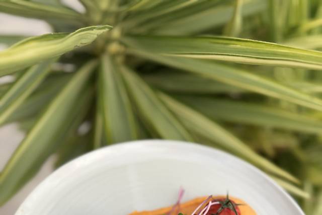 Pulpo con pureé de batatas