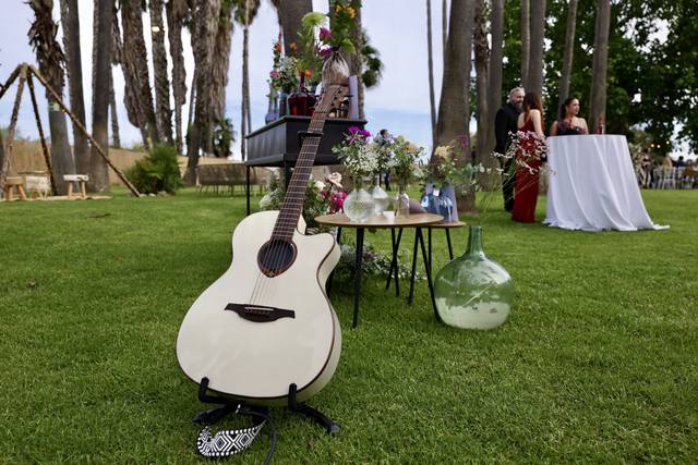 Mi compañera de bodas