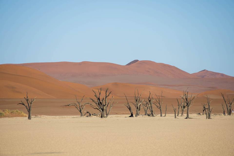 El desierto de colores