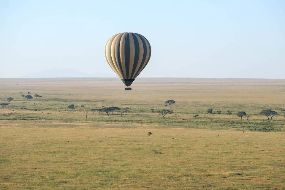 Descobreix Àfrica