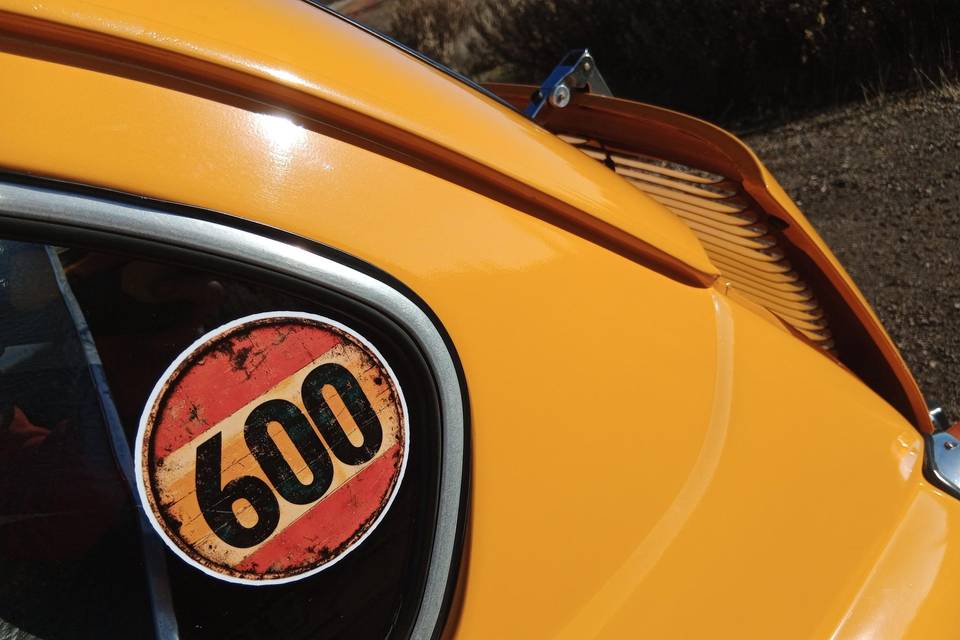 600 logotipo