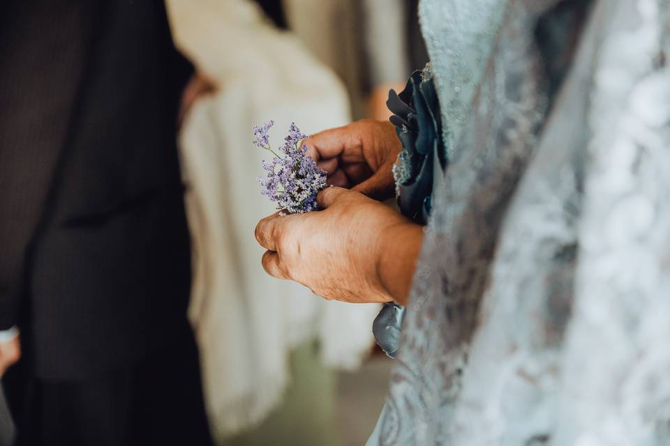 Bodas