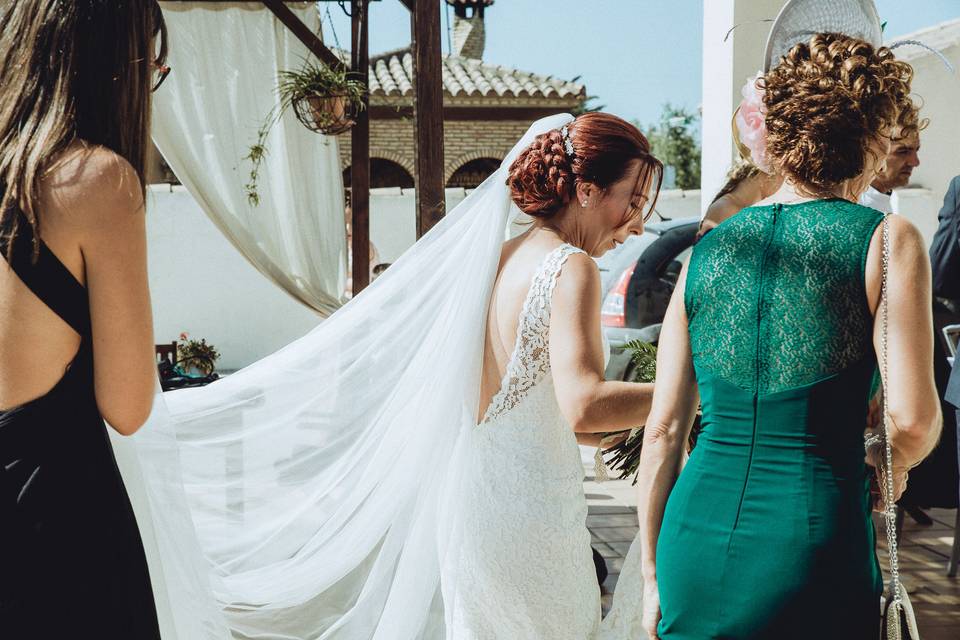 Bodas