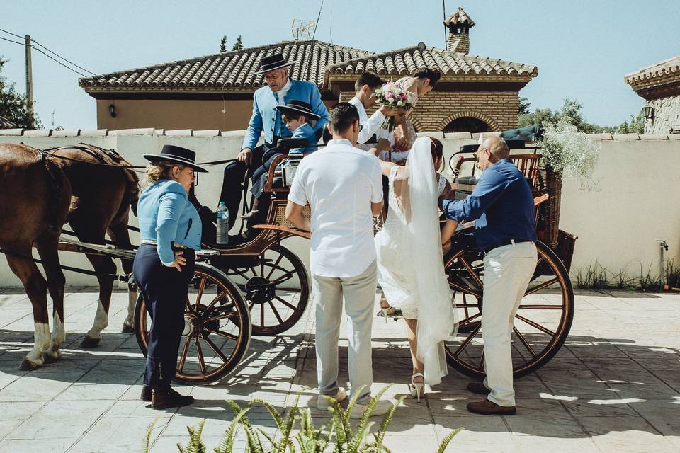 Bodas