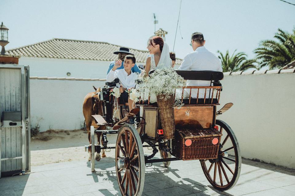Bodas
