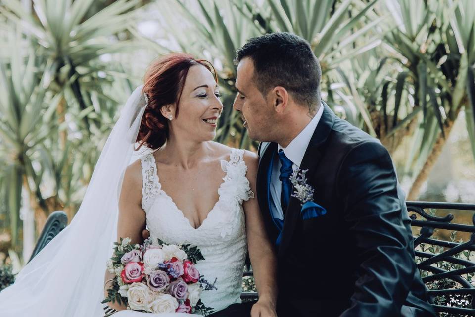 Bodas