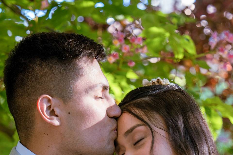 Bodas