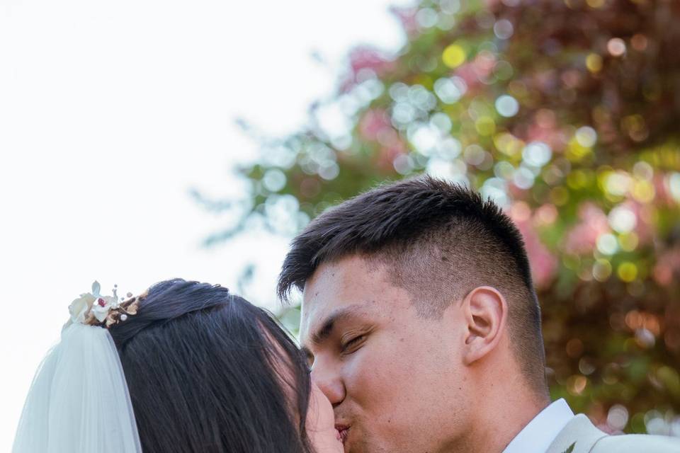 Bodas