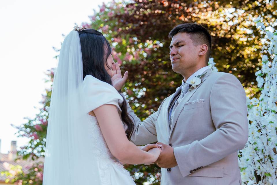 Bodas
