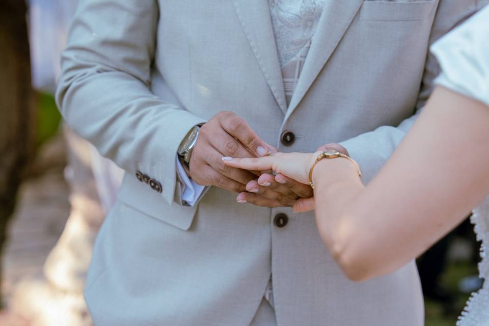Bodas