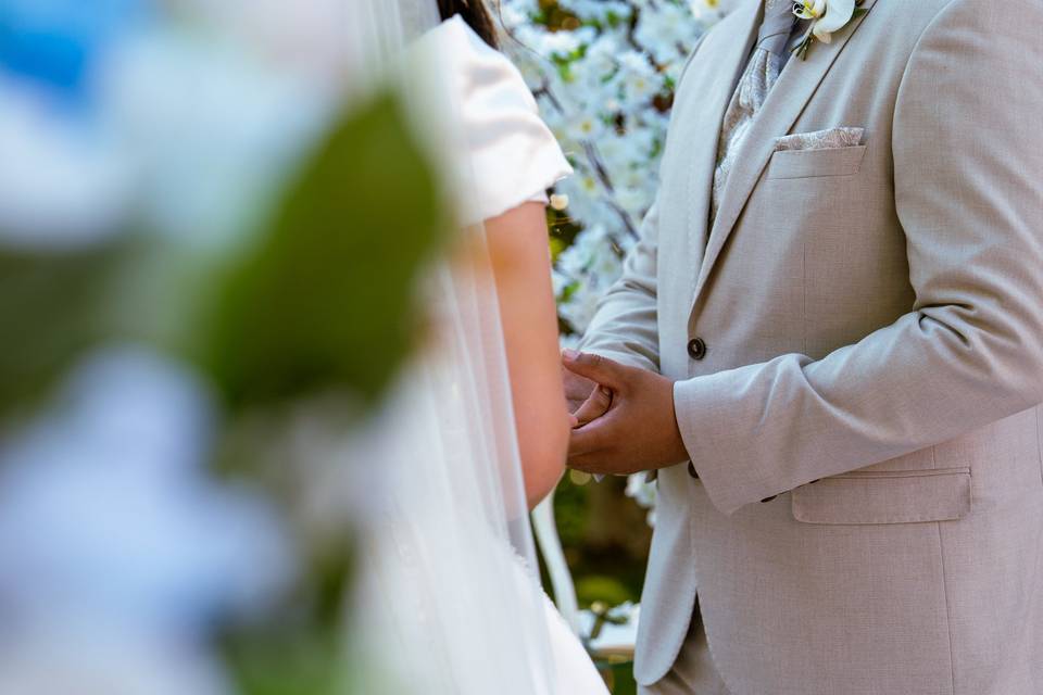 Bodas