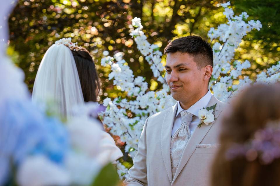 Bodas