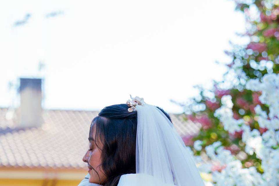 Bodas