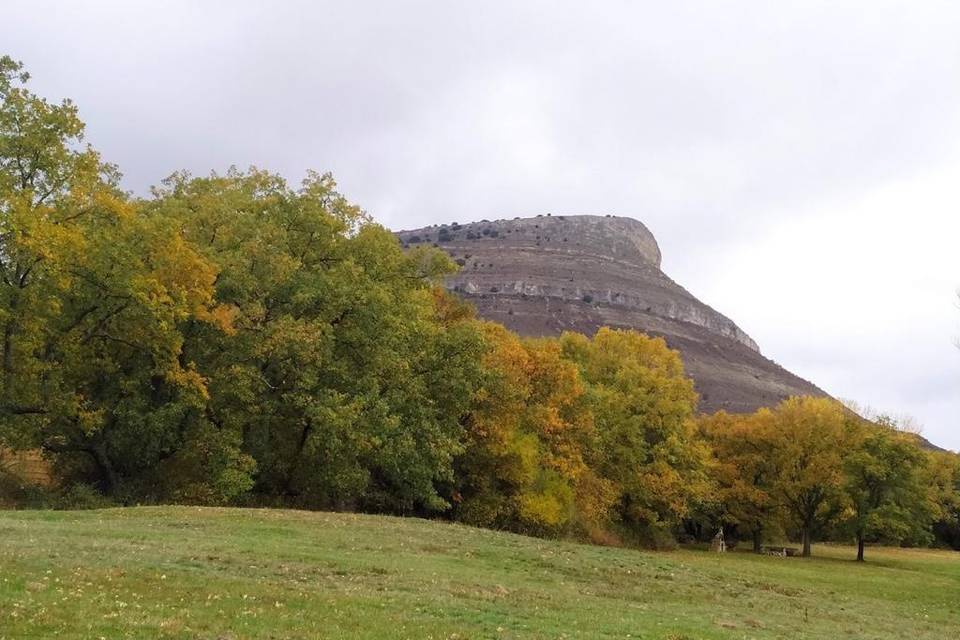 Finca Campanario de Frentes