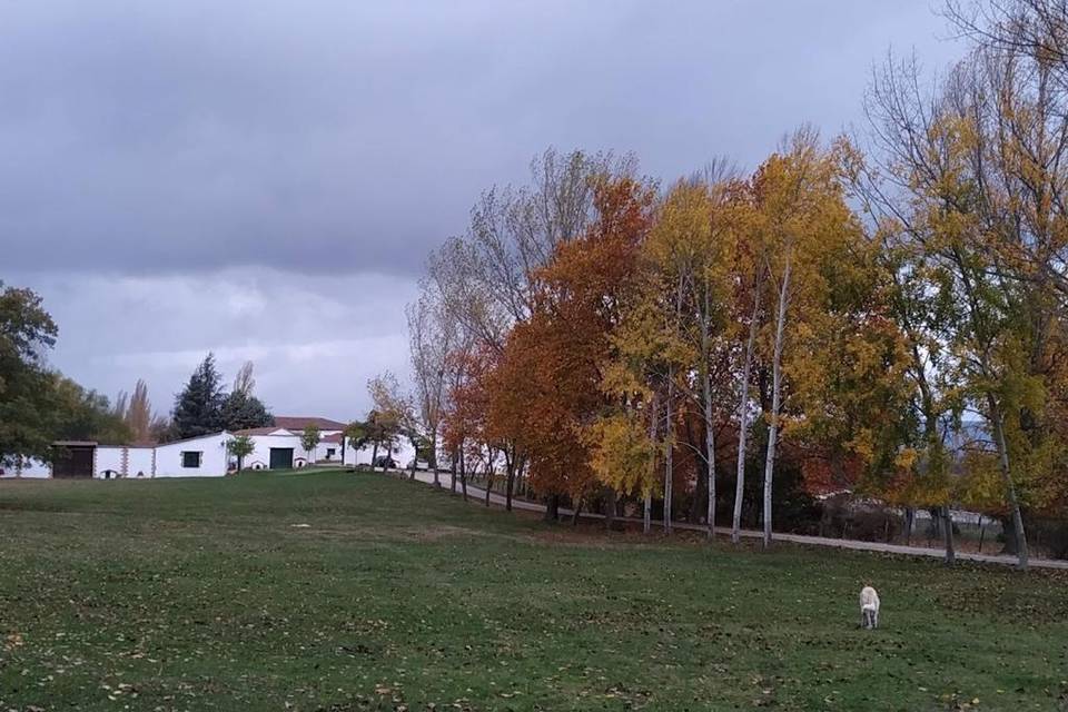 Campanario de Frentes