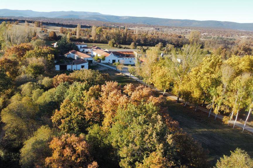 Finca Campanario de Frentes