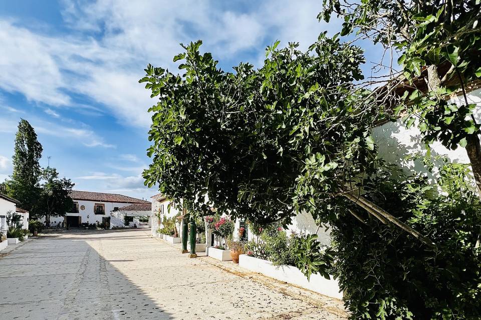 Patio Cortijo