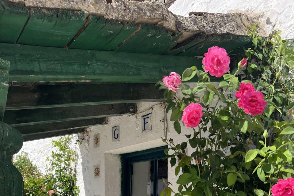 Patio Cortijo