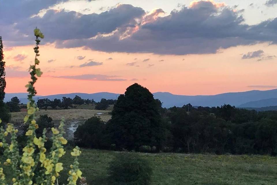 Atardecer