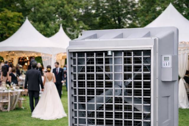 Bodas