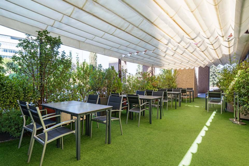 Terraza