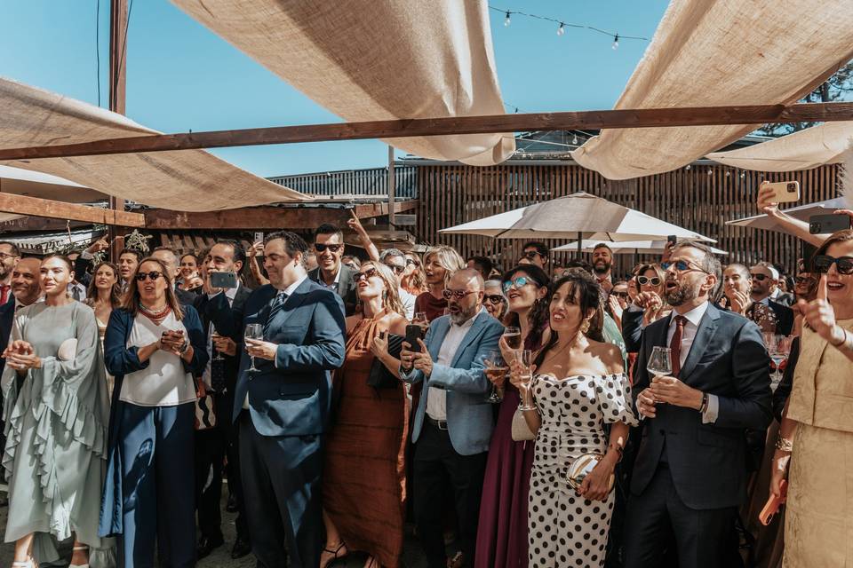 Recepción de invitados