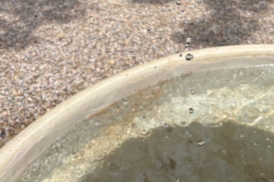 Agua