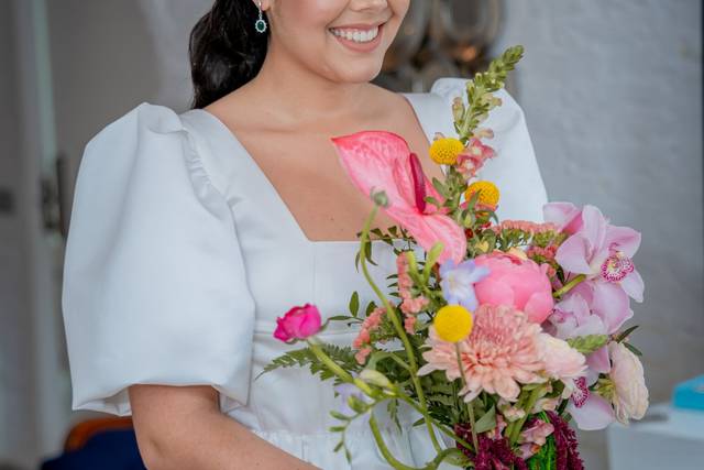 Novia