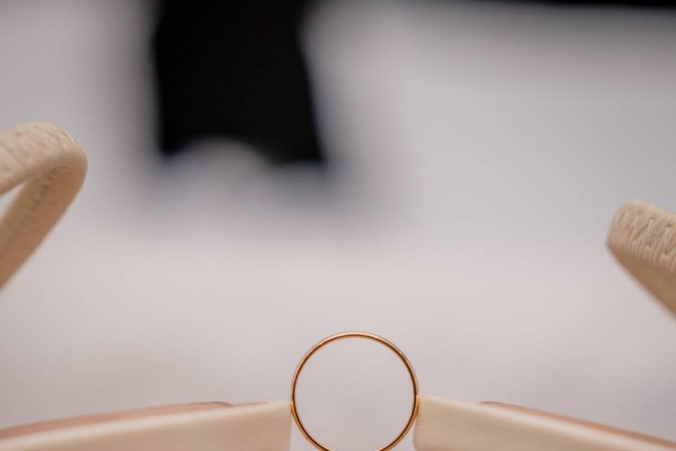 Anillos