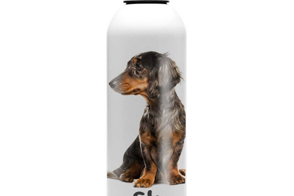 Botellas Personalizadas