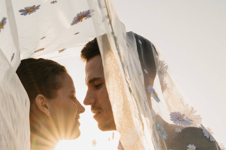 Novios