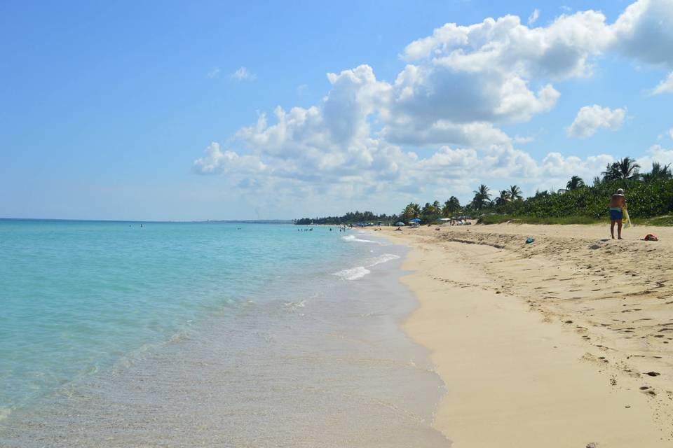 Caribe