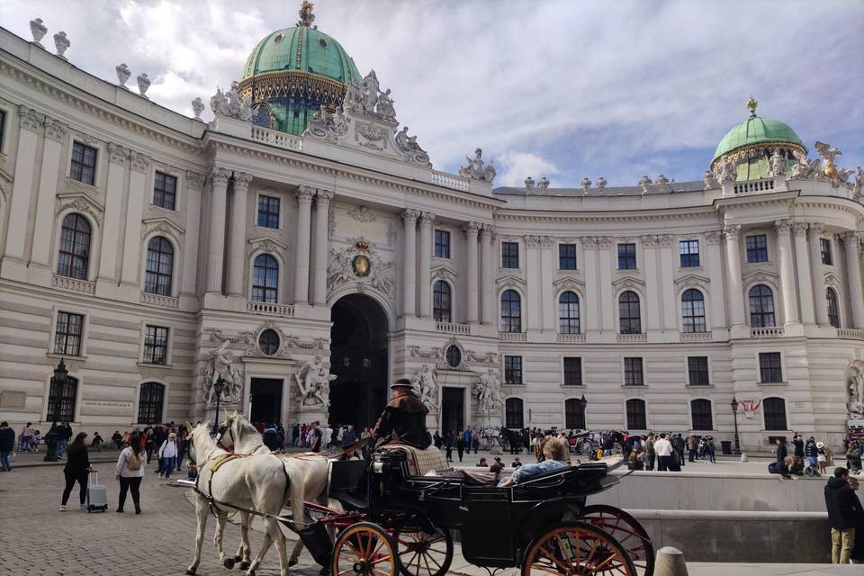 Viena