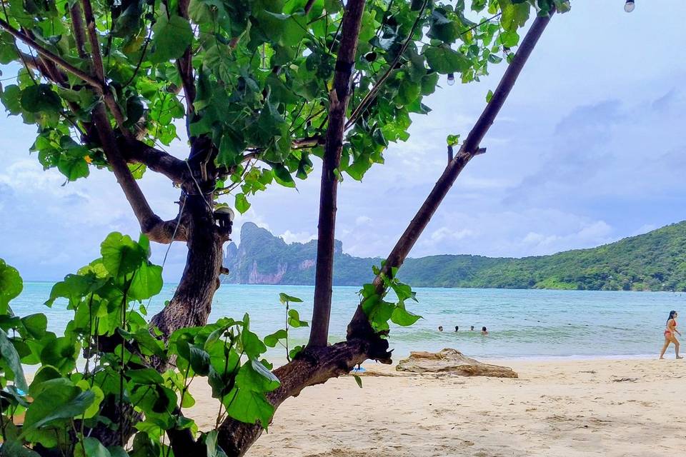Phi Phi Beach