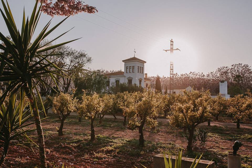 Huerto de san rafael