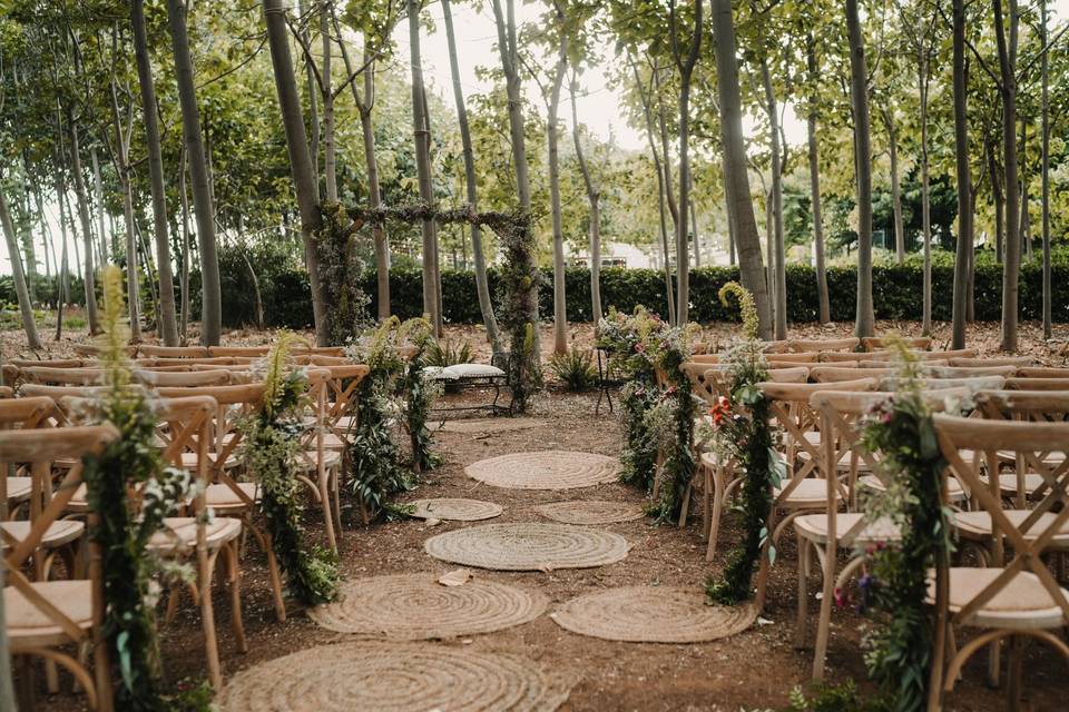 Ceremonia en el bosque