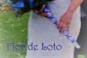 Flor de Loto