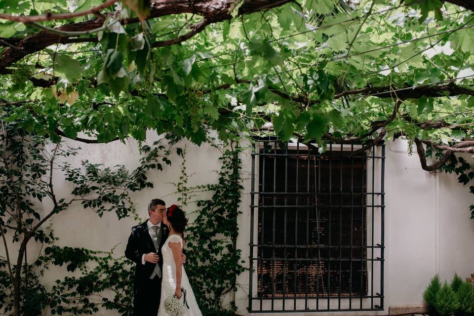 Novios en la viña