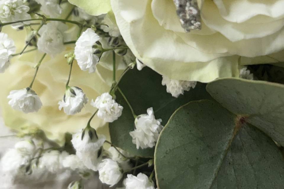 Diamantes