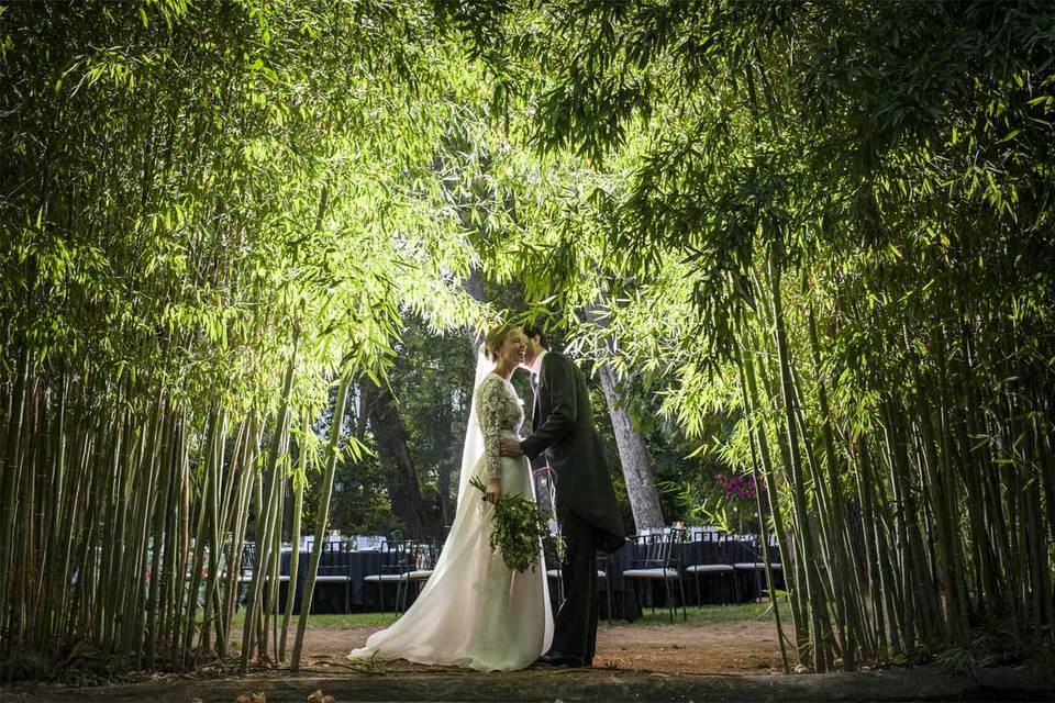 Boda en invierno