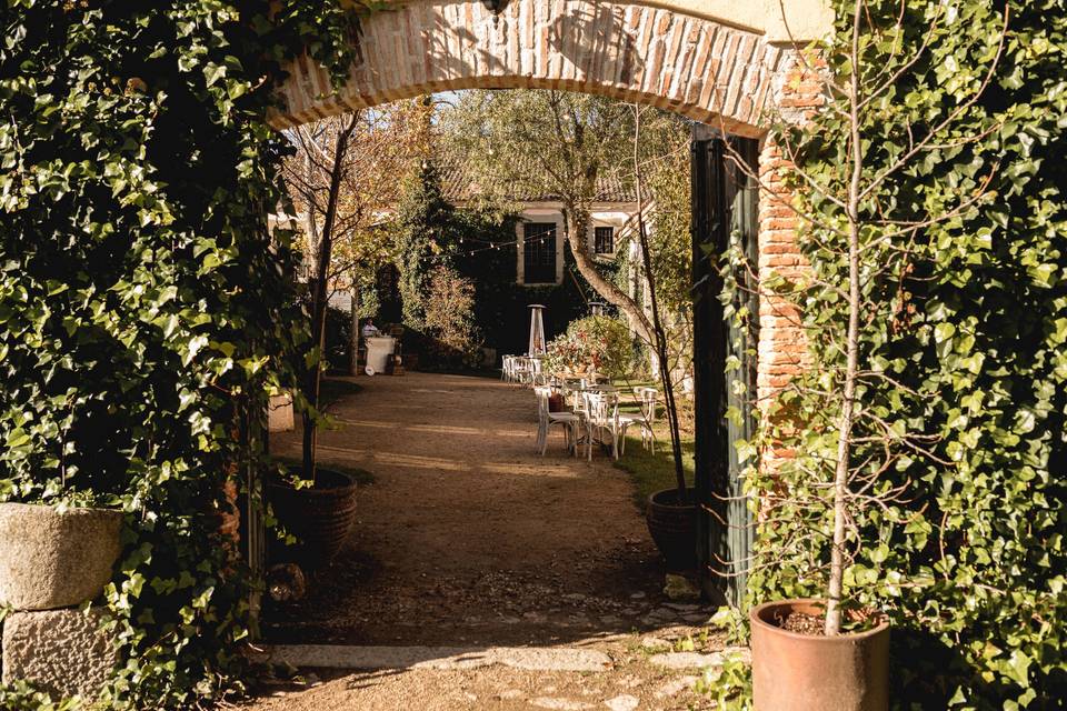 Entrada coctel