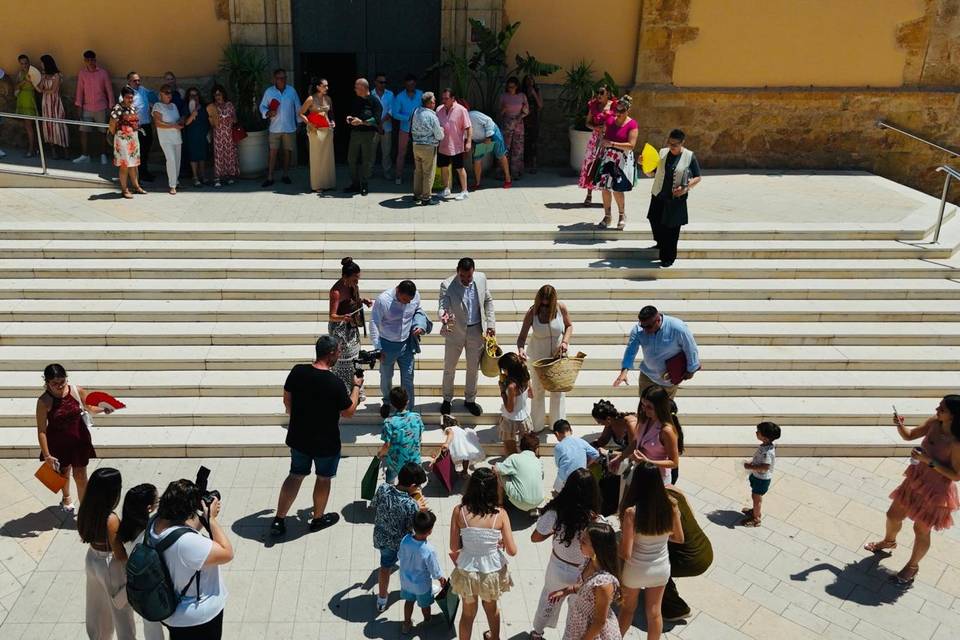 Dronem.es